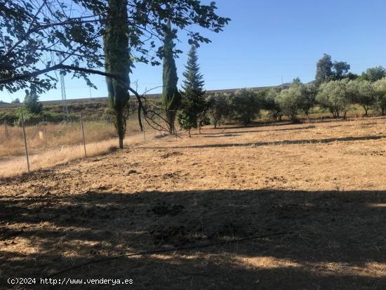 Parcela de terreno de 2700 m2 por la Barquera con fosa séptica y vallada - CORDOBA