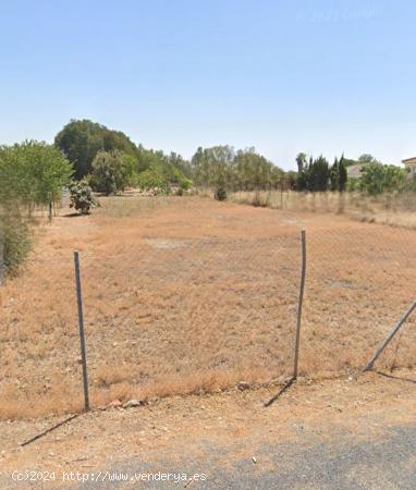 Parcela de terreno de 1.500 m2 EN CUEVAS BAJAS/ ZONA BAJA - CORDOBA