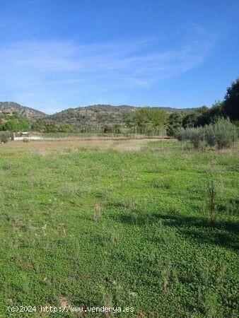 Parcela de terreno de 1.500 m2 EN CUEVAS BAJAS/ ZONA BAJA - CORDOBA