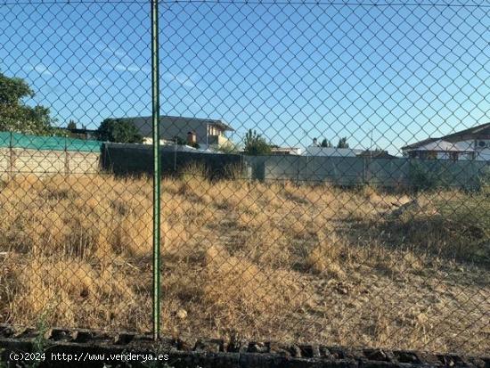 Parcela vacia de terreno de 1.000 m2 por la zona de La Barquera. - CORDOBA