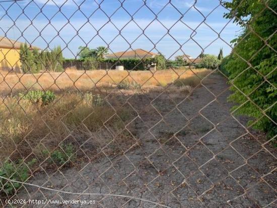 Zona La Barquera- Parcela de terreno de 1250 m2 con pozo y punto de luz - CORDOBA