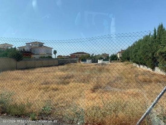  ZONA CORTIJO EL ALCAIDE - Parcela de terreno de 1.500 m2 - CORDOBA 