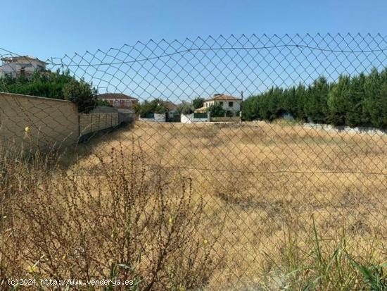 ZONA CORTIJO EL ALCAIDE - Parcela de terreno de 1.500 m2 - CORDOBA