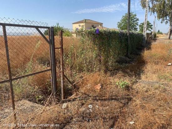  ZONA LA BARQUERA - Parcela de 3.000 m2 vacia, totalmente vallada. Sin luz ni pozo. - CORDOBA 