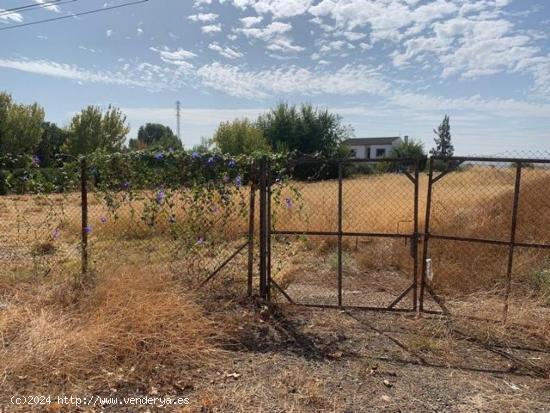 ZONA LA BARQUERA - Parcela de 3.000 m2 vacia, totalmente vallada. Sin luz ni pozo. - CORDOBA