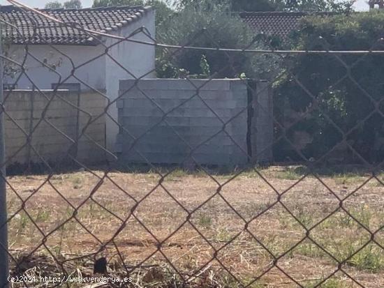 ZONA MAJANEQUE- Parcela de terreno de 1.000 m2 con pozo y punto de luz. - CORDOBA