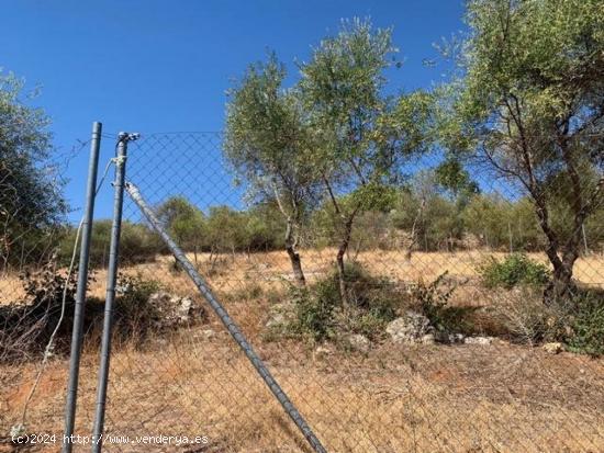  ZONA CHARCO ROTO - Parcela de terreno de 1500 m2 con punto de luz y agua comunitaria - CORDOBA 