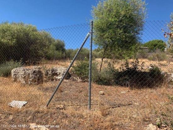 ZONA CHARCO ROTO - Parcela de terreno de 1500 m2 con punto de luz y agua comunitaria - CORDOBA