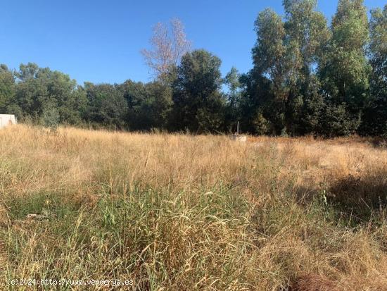 ZONA LAGUNA CUEVAS BAJAS, parcela de terreno de 2.000 m2 con pozo - CORDOBA