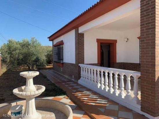 ZONA CORTIJO ALAMILLO- HIPOTECABLE - Parcela de 625 m2 con casa de 155m2 con piscina. - CORDOBA