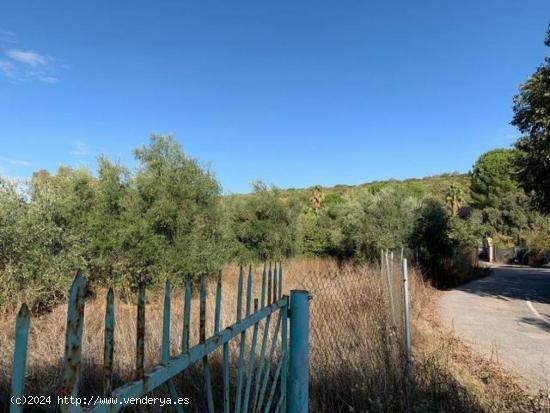 ZONA TRASSIERRA - Parcela de terreno de 3.000 m3 con luz, con cancela. - CORDOBA