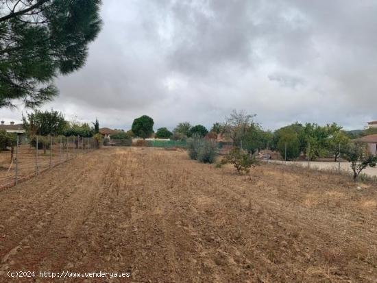  Parcela de terreno de 2100 m. en La Gorgoja. - CORDOBA 