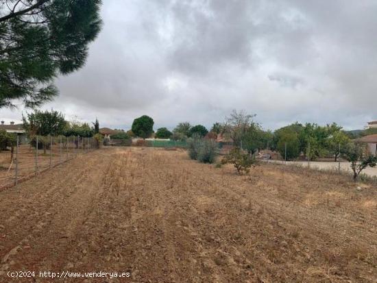 Parcela de terreno de 2100 m. en La Gorgoja. - CORDOBA