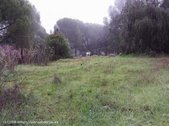 TERRENO URBANO EN LAS JARAS - CORDOBA