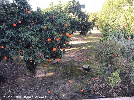  ZONA VILLARRUBIA - CORDOBA 