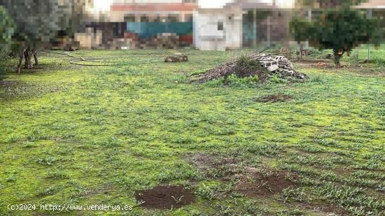  ZONA ROSAL DEL RUBIO -Parcela de terreno de 750 m2 con un cuartillo. y un pozo con abundante agua. - 