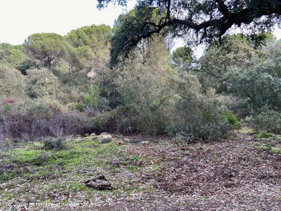 TRASSIERRA-EL SALADO - Finca rustica de 23.000 m. con pozo de sondeo y punto de luz. - CORDOBA