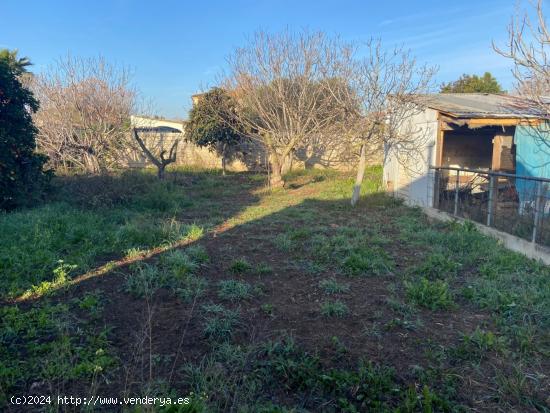 ZONA LA BARQUERA - Parcela de terreno con cuartillo de 22 m2, nave de herramientas - CORDOBA