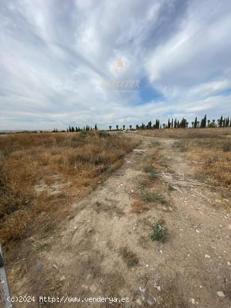 ZONA LA BARQUERA - Parcela de 16.000 m2 con escrituras, con posibilidad de dividir en 2. - CORDOBA