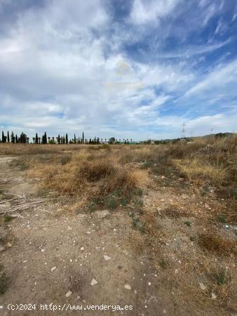 ZONA LA BARQUERA - Parcela de 16.000 m2 con escrituras, con posibilidad de dividir en 2. - CORDOBA