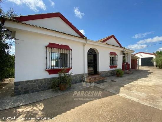 ZONA LA BARQUERA - Posibilidad escritura de obra nueva. Parcela con casa y piscina. - CORDOBA