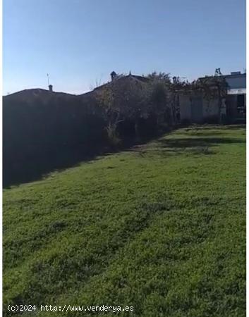 ZONA NUEVO HIGUERON - Parcela de terreno de 1.150 m2 con cuarto de aperos de unos 12 m2 - CORDOBA