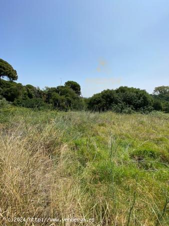 BRILLANTE - Terreno de 6.000 m con construccion en forjado sin terminar. - CORDOBA