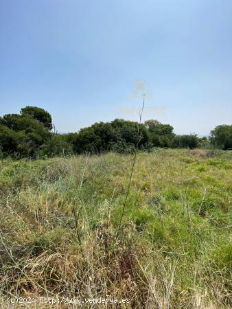 BRILLANTE - Terreno de 6.000 m con construccion en forjado sin terminar. - CORDOBA