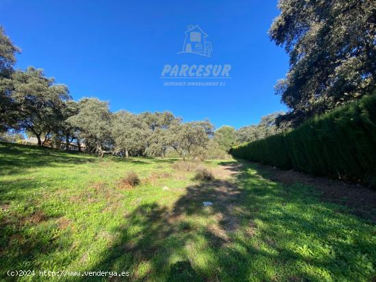  ZONA TRASSIERRA - Parcela de terreno de 3.150 m2 con escrituras. - CORDOBA 