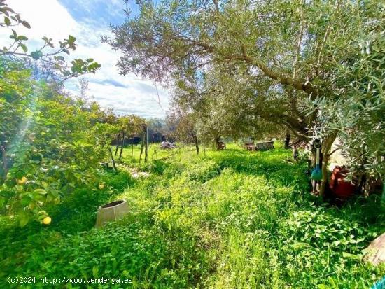 CAMPIÑUELA- Parcela de terreno de unos 800 m2 con casa de unos 80 m2. - CORDOBA