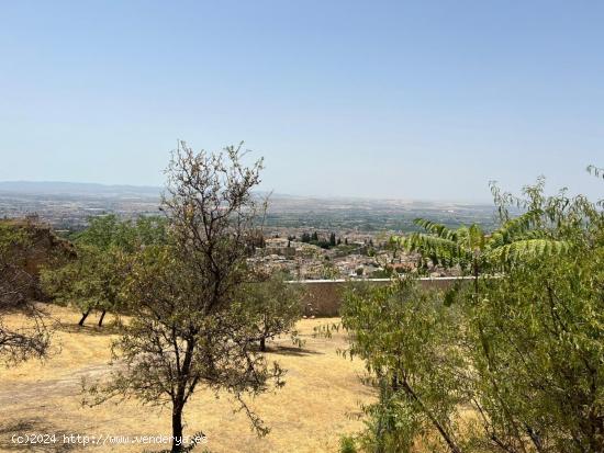 SUELO EN GRANADA - GRANADA