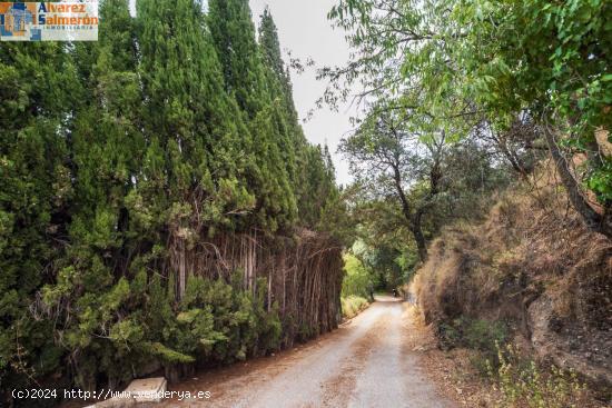 Magnifica finca de 15 ha. con Casa Cortijo  Los Carmencillos  en Aynadamar - GRANADA