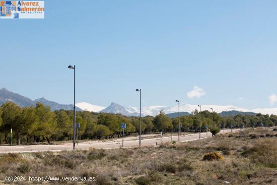  MAGNIFICA PARCELA EN LOS ALTOS DE LA ZUBIA!! - GRANADA 