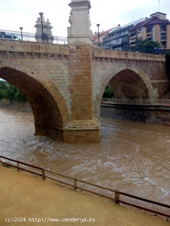 espectacular vivienda con vistas al rio - ALICANTE