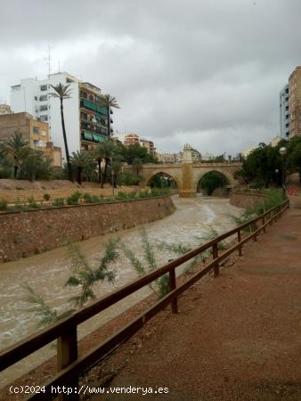 espectacular vivienda con vistas al rio - ALICANTE