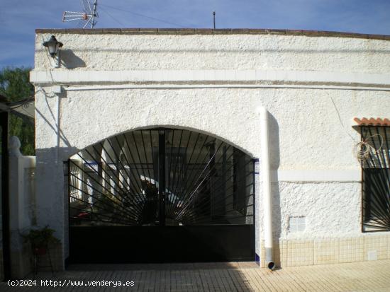 CAMPO EN LA ZONA ASPE - ALICANTE