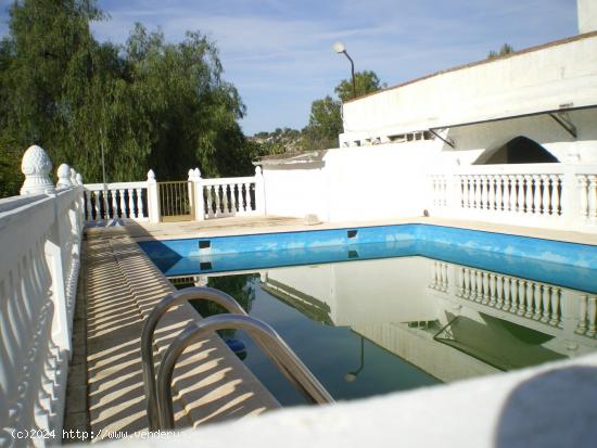 CAMPO EN LA ZONA ASPE - ALICANTE