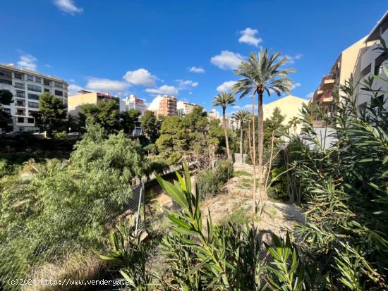 VIVIENDA DE LUJO EN PLENO CENTRO - ALICANTE