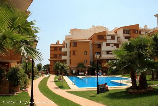 Apartamentos de obra nueva en Punta Prima, playa 50 metros - ALICANTE