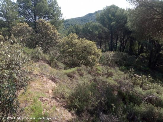 PARCELA EN ZONA LAS JARAS - CORDOBA