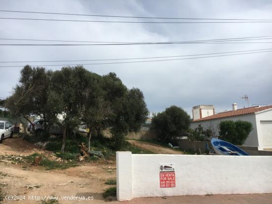  Parcela edificable en zona traniquila de Cala en Porter de 515 m2 - BALEARES 