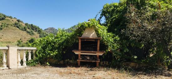 FINCA RÚSTICA CON CASA EN PERFECTO ESTADO, CERCA DE LA POBLACIÓN. ELECTRICIDAD, POZO Y BALSA. - TA