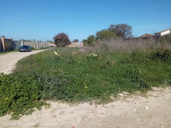 OCASIÓN PARCELA ZONA EL REDONDEL - CADIZ