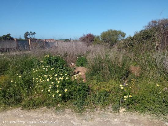 OCASIÓN PARCELA ZONA EL REDONDEL - CADIZ