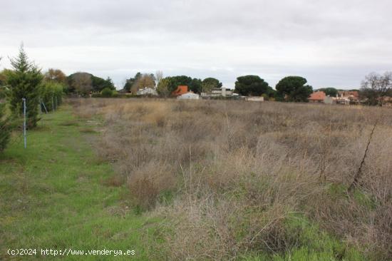  VENTA de TERRENO en Tudela de Duero - VALLADOLID 