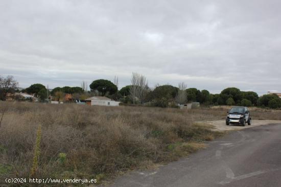 VENTA de TERRENO en Tudela de Duero - VALLADOLID