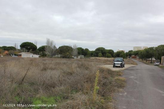 VENTA de TERRENO en Tudela de Duero - VALLADOLID