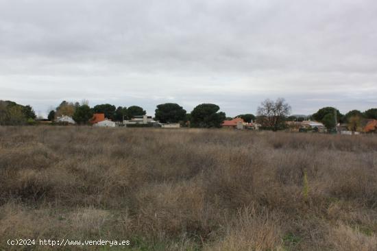 VENTA de TERRENO en Tudela de Duero - VALLADOLID