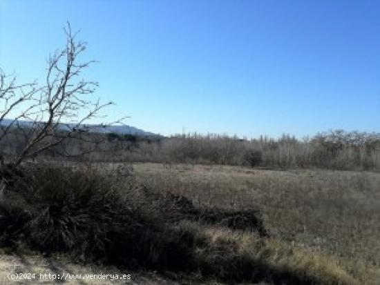 Parcela Rustica en Tudela de Duero - VALLADOLID