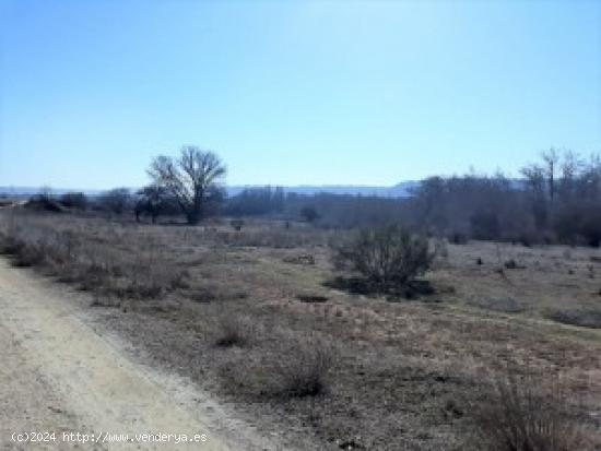 Parcela Rustica en Tudela de Duero - VALLADOLID